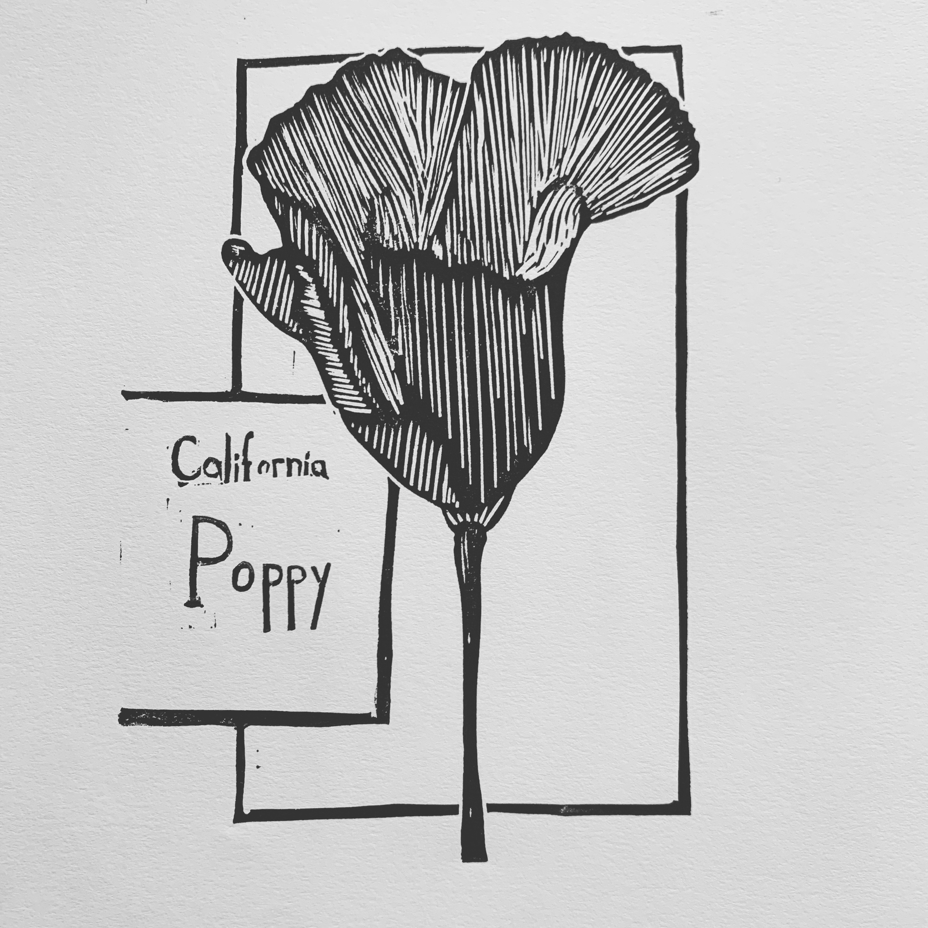 California Poppy